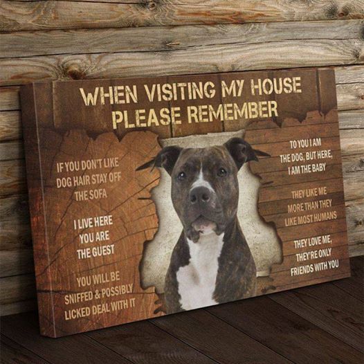 Pitbull when visiting my house please remember animals Home Living Room Wall Decor Horizontal Poster Canvas G95