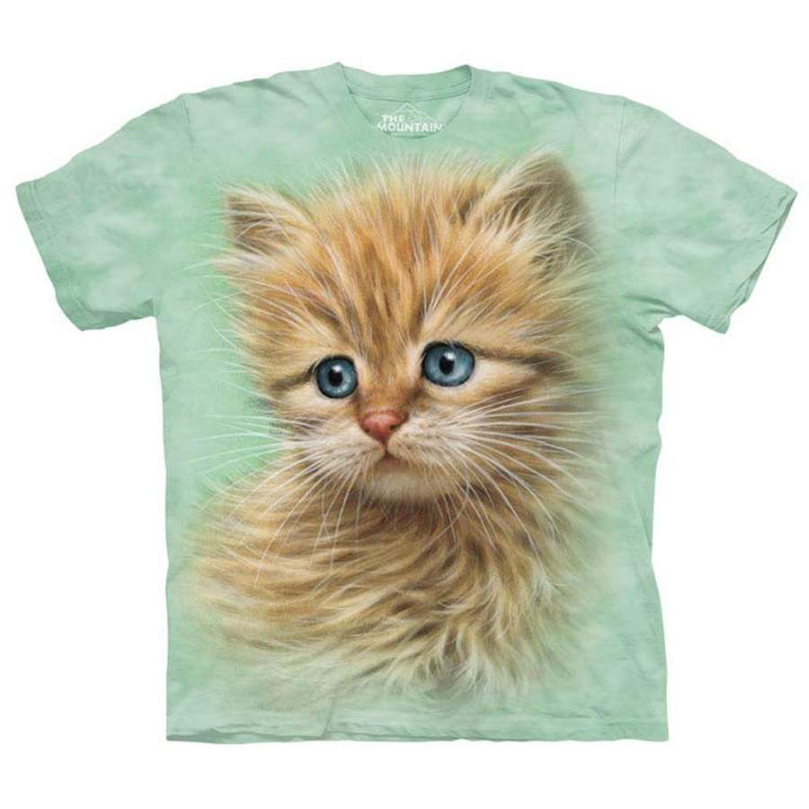 Kitten Portrait Small T-shirt