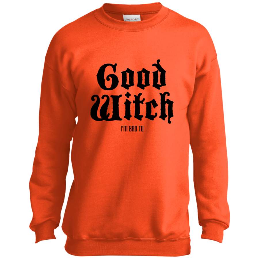 Good Witch Bad Witch Friend – Halloween Youth T shirt/LS/Sweatshirt/Hoodie