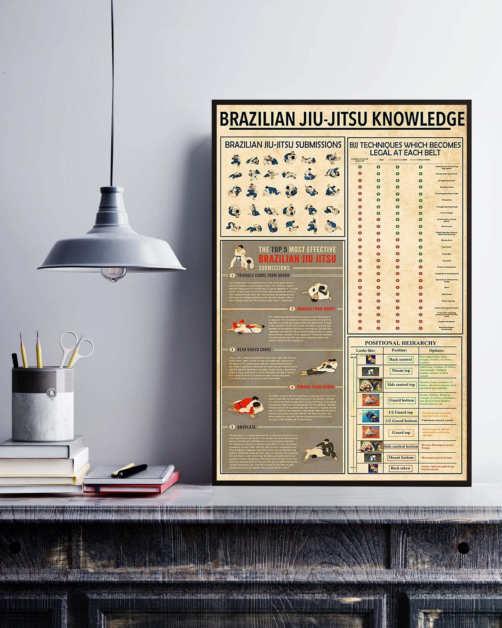 Brazilian Jiu Jitsu Knowledge Poster