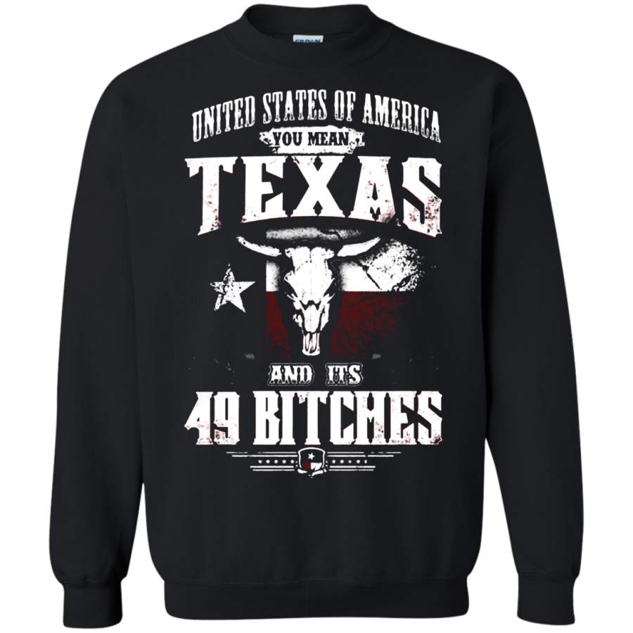 AGR United States Of America You Mean Texas And Its 49 Bitches Sweatshirt