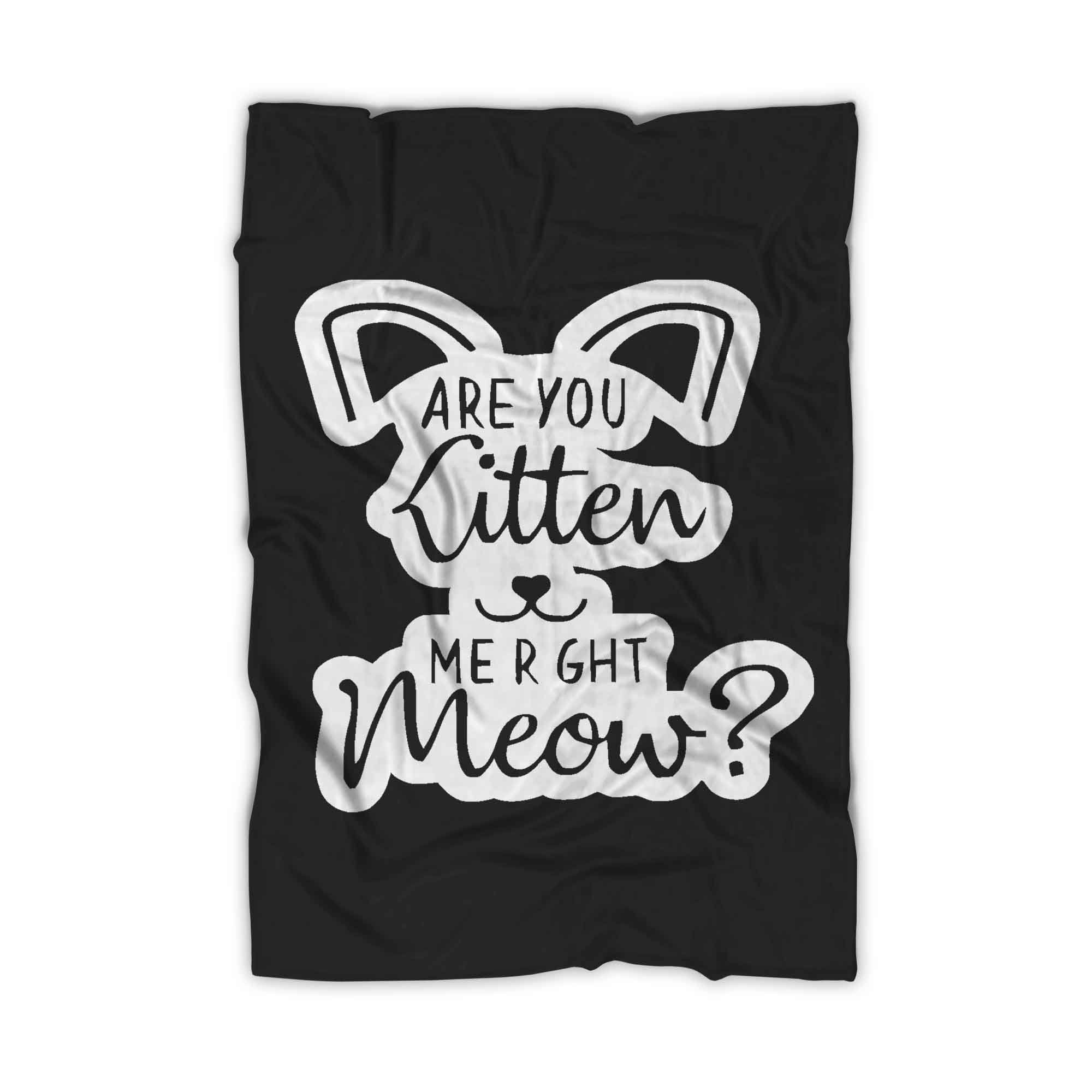 Are You Kitten Me Right Meow Go Blanket