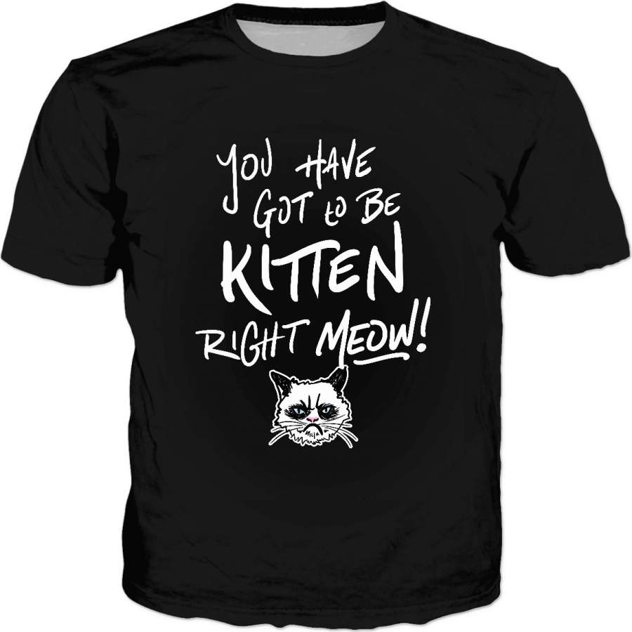 You Have Got To Be Kitten Me Right Meow! Classic Black T-Shirt