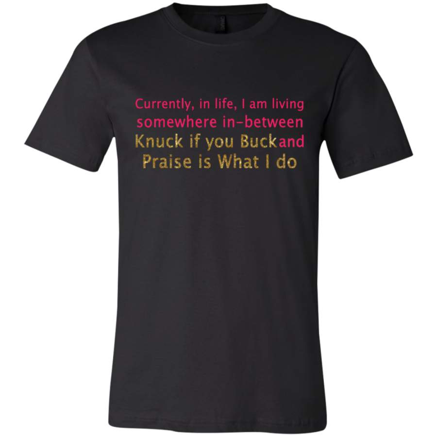 AGR Currently in life i am living somewhere in-between knuck if you buck T-Shirt  USA