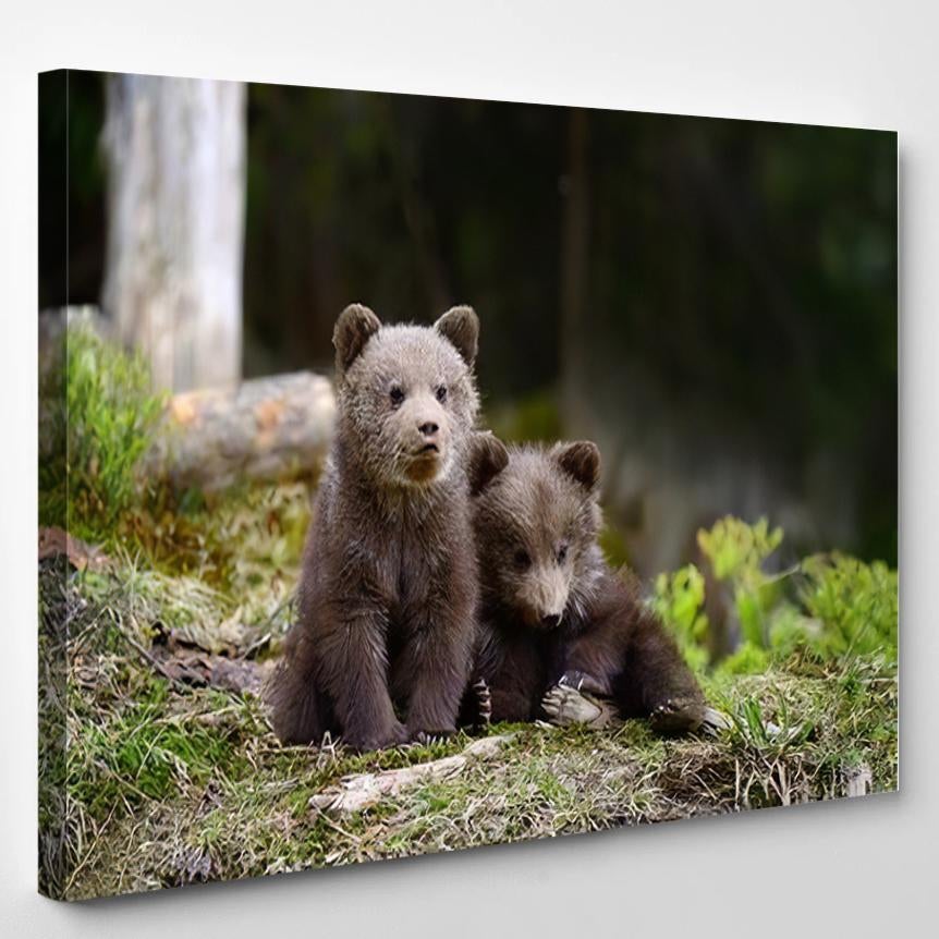 Young Brown Bear Forest Portrait Animal 1 1 – Bear Animals Canvas Print