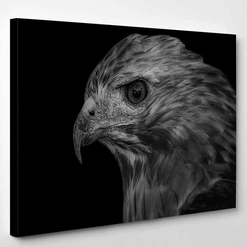 Aggressive Eagle Black White Face – Eagle Animals Canvas Print