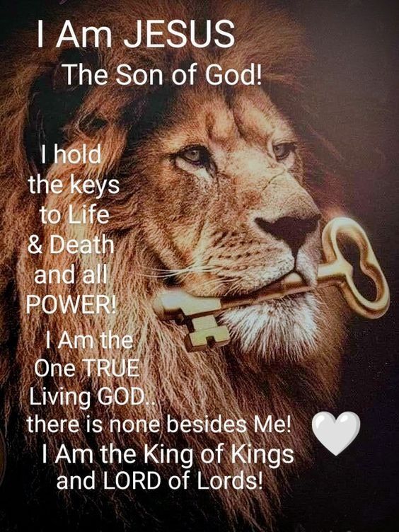 Christian Canvas I Am Jesus The Son Of God Lion fashionstation 0608 1728