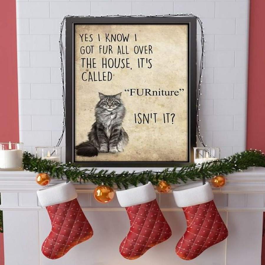 Funny Cat Canvas – Yes i know i got fur all over the house Vertical ...