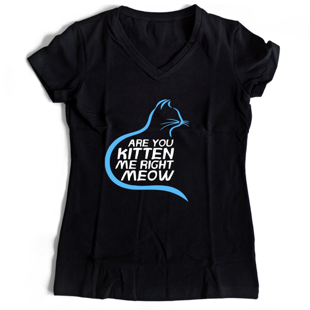 Are You Kitten Me Right Meow Hiden Women’s V-Neck Tee T-Shirt