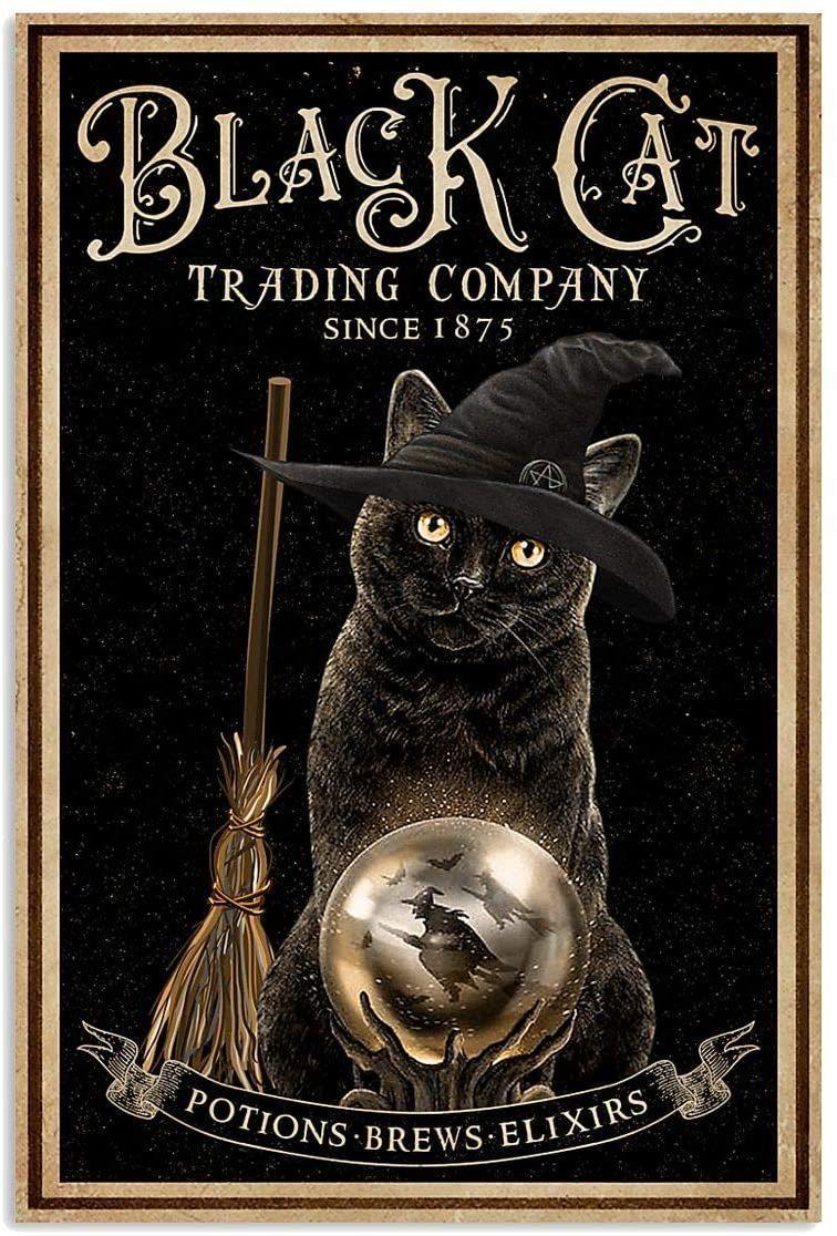 Black Cat Trading Company Potions Brews Elixirs  – Best Idea Gift , Gift For Home Decor, Gift For Family – Horizontal Canvas Matte Canvas Wall Art