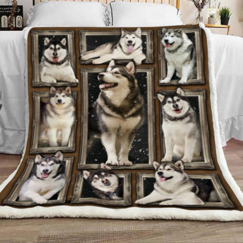 Alaskan Malamute Dog Sherpa Blanket DCB2601 81O60