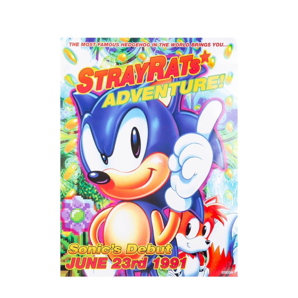 X Sonic The Hedgehog Sonic Flyer Poster