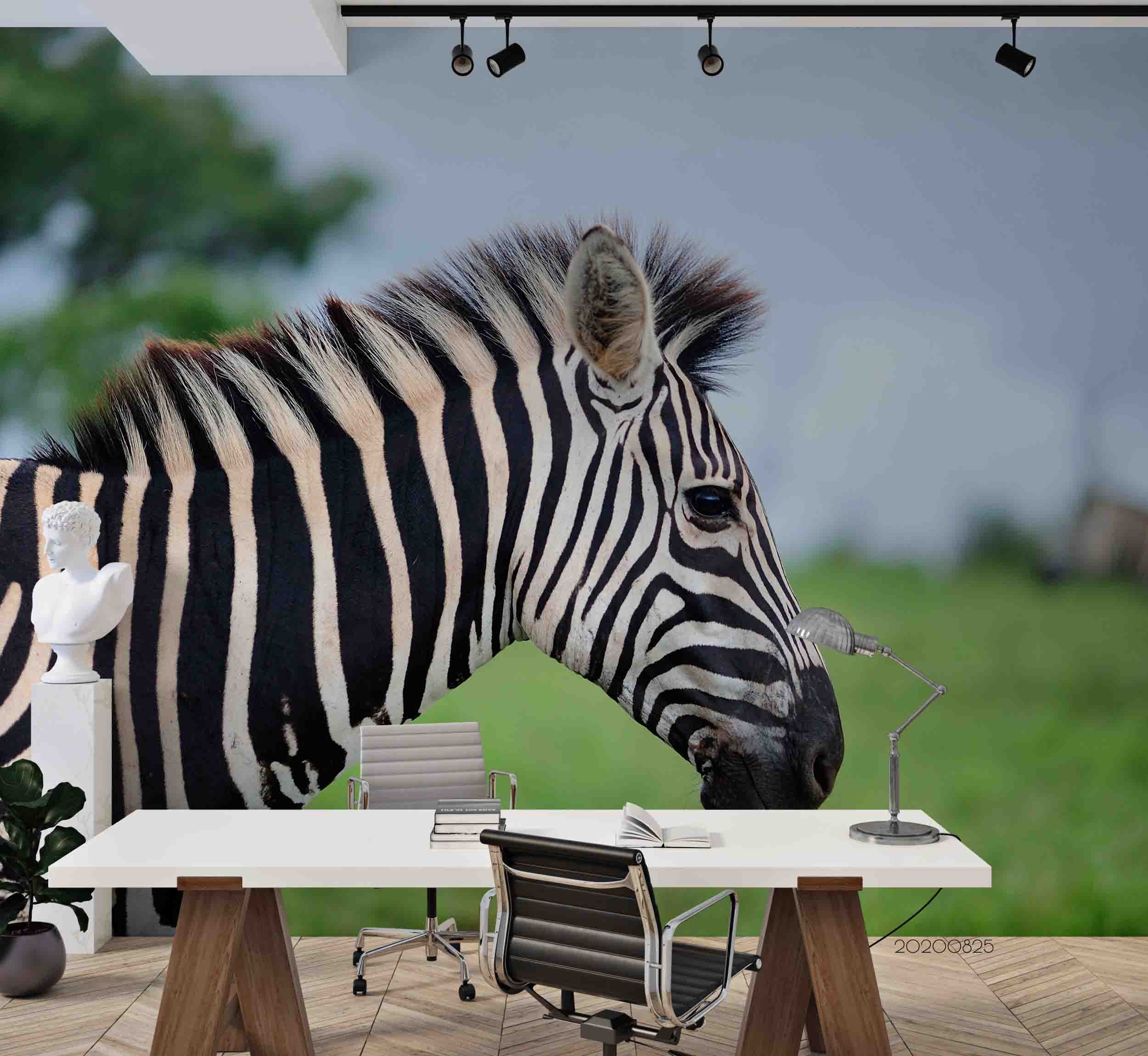 3D Wild Animal Zebra Wall Mural Wallpaper Lqh 5