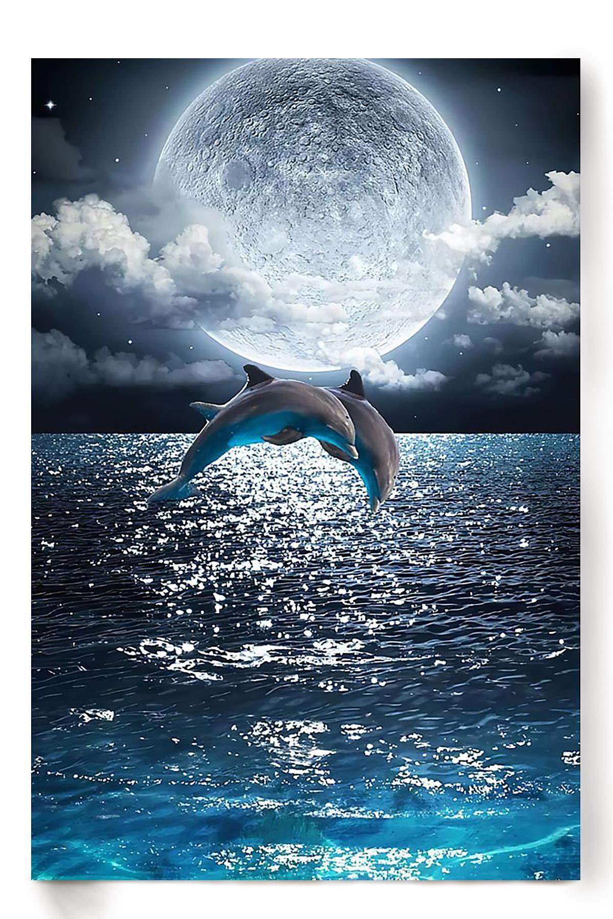 Dolphin Couple Jump Under The Moon Gift For Wedding Anniversary Just Married Couple Poster