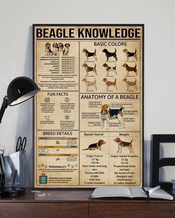 Beagle Knowledge Anatomy Colors Fun Facts Breed Details poster canvas