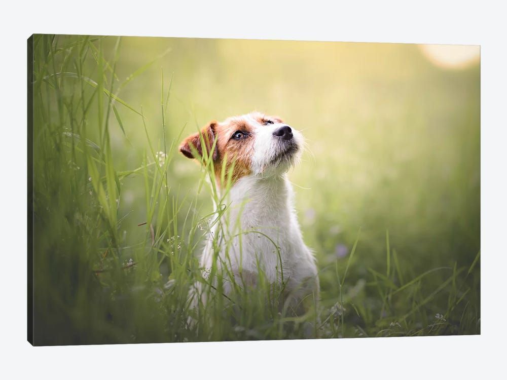 Pretty Puppy Canvas Poster 8″x12″ 12×18″ 18″x26″ 24″x36″ 30″x45″