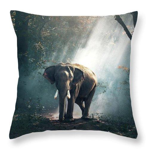 Lone Elephant – Throw Pillow