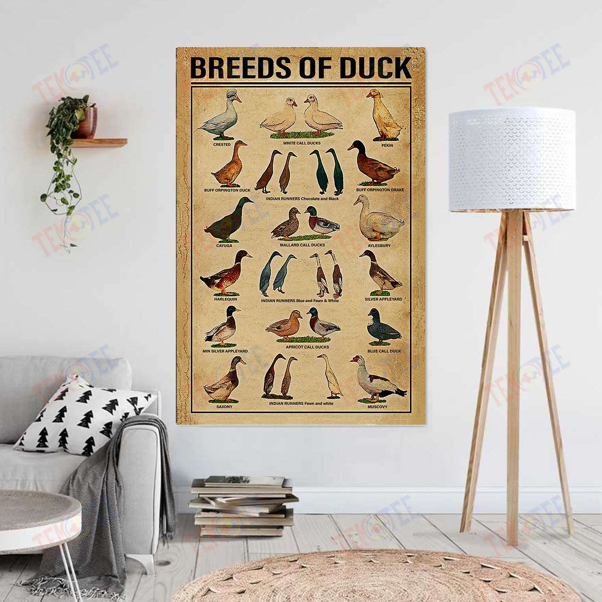 Canvas Prints Breeds Of Duck Wall Art Home Decoration