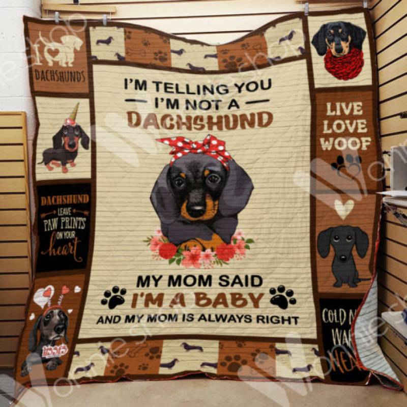 Dachshund Dog Blanket OCT2101 82O33