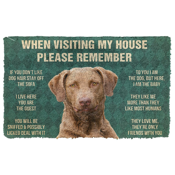 Waybackapparel Please Remember Chesapeake Bay Retriever Dogs House Rules Custom 3D Doormat