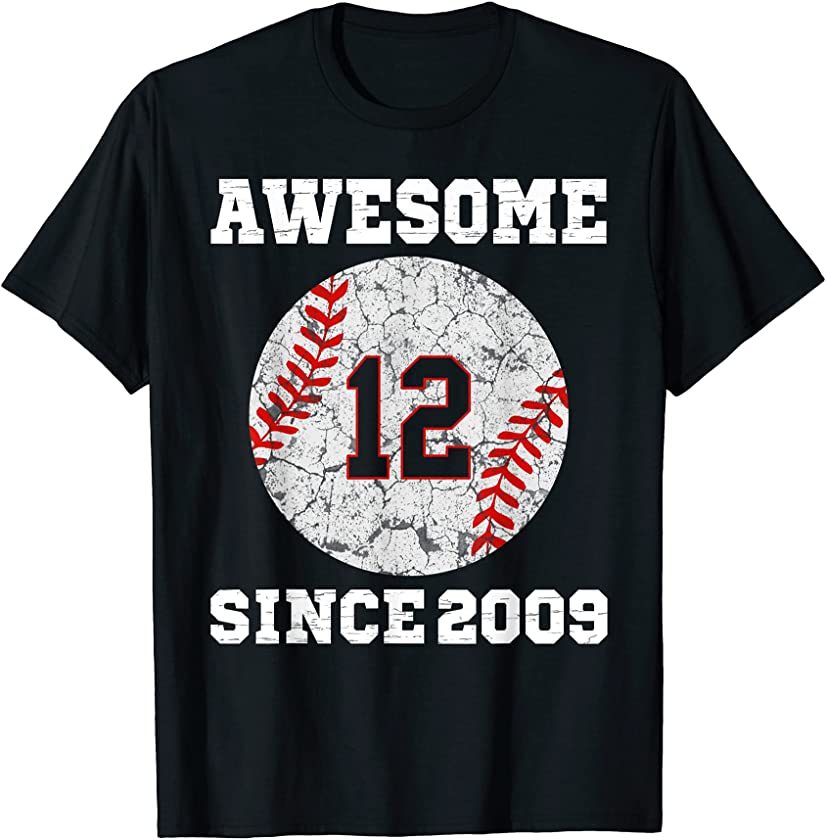 12th Birthday Baseball Lover Gift 12 Years Old Vintage Retro T-Shirt