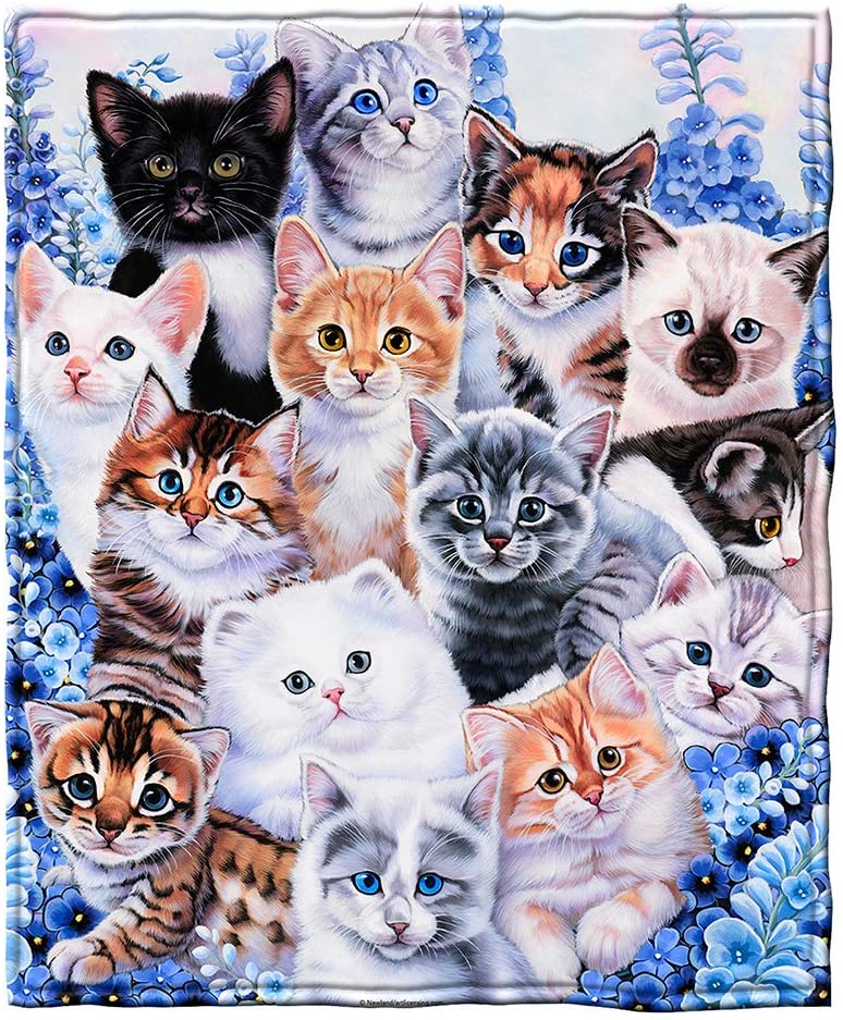 Kittens Gift For Cat Lovers Fleece/Sherpa Blanket