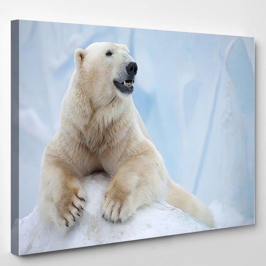 Portrait Large White Bear On Ice – Bear Animals Canvas Print