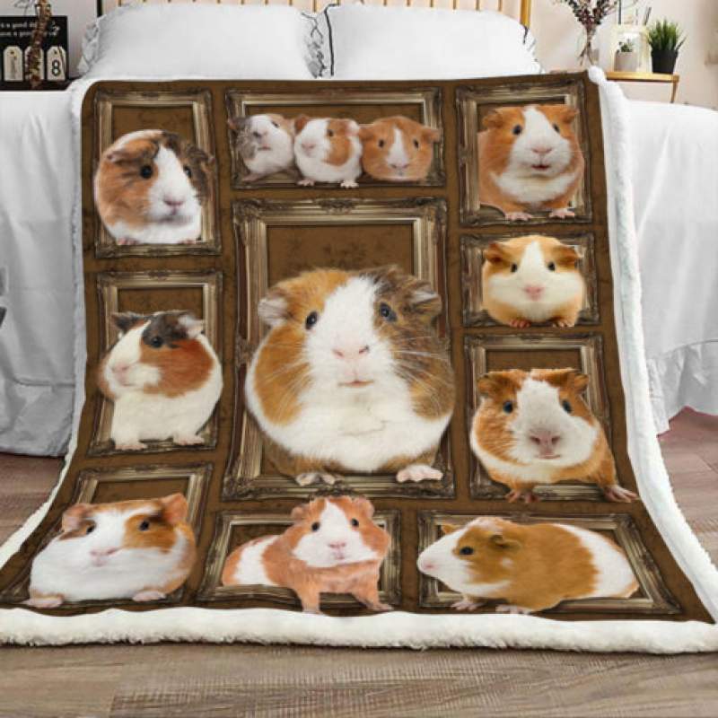 Guinea Pig Sherpa Blanket FB0101 68O39