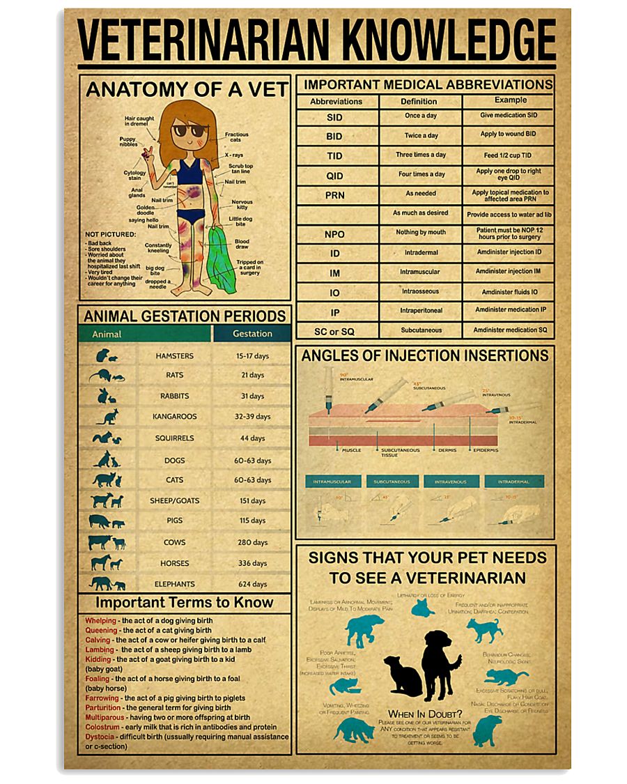 Veterinarian Knowledge Poster Wall Decor Best Gift For Your Friend And Relative No Frame