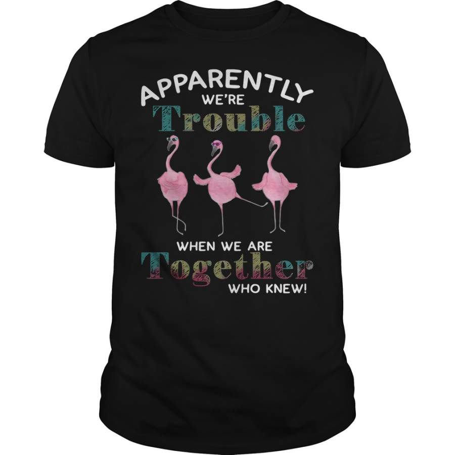 Flamingo Apparently we’re trouble when we are together who knew T-Shirt