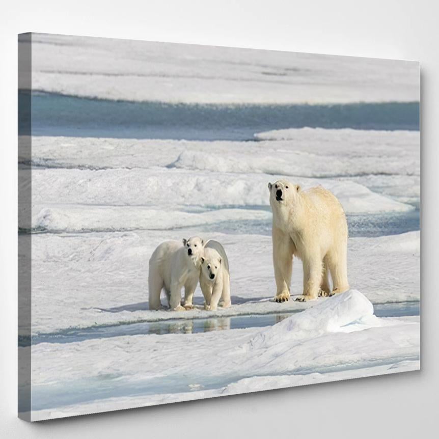 Polar Bear Mother Ursus Maritimus Twin 1 – Bear Animals Canvas Print