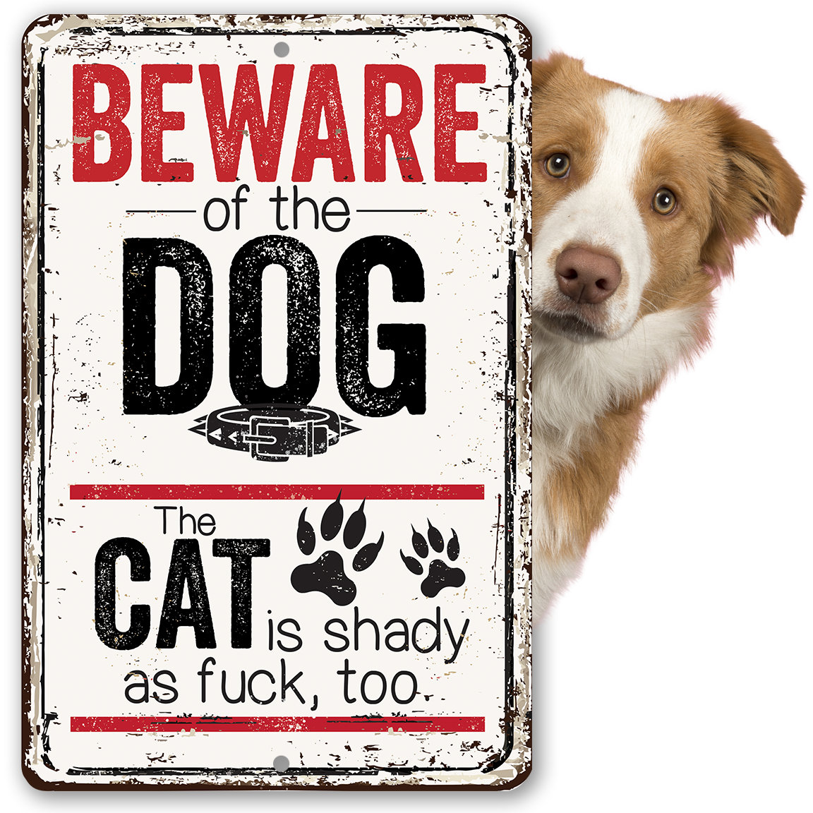 Beware of the Dog the Cat is Shady Too – Metal Sign – 8″x12″ or 12″x18″ Use Indoor or Outdoor – Perfect Home Decor For Cat and Dog Owners