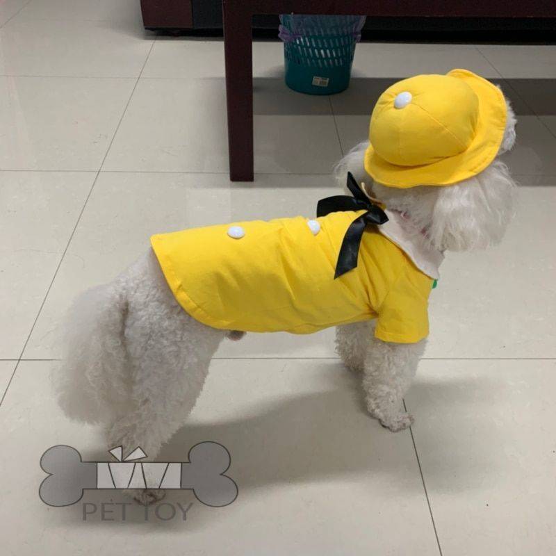 2020 New Dog Clothing Hat Couple Pet Clothes Boy Dog T-shirt Girl Dog Dress Skirt Summer Cat Yorkshire Chihuahua Puppy Costume