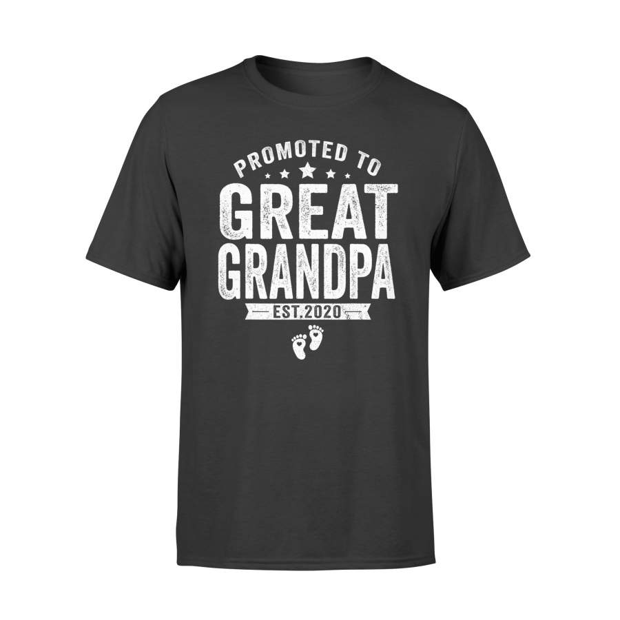Promoted To Great Grandpa est 2020 Shirt Father’s Day Gift – Standard T-shirt