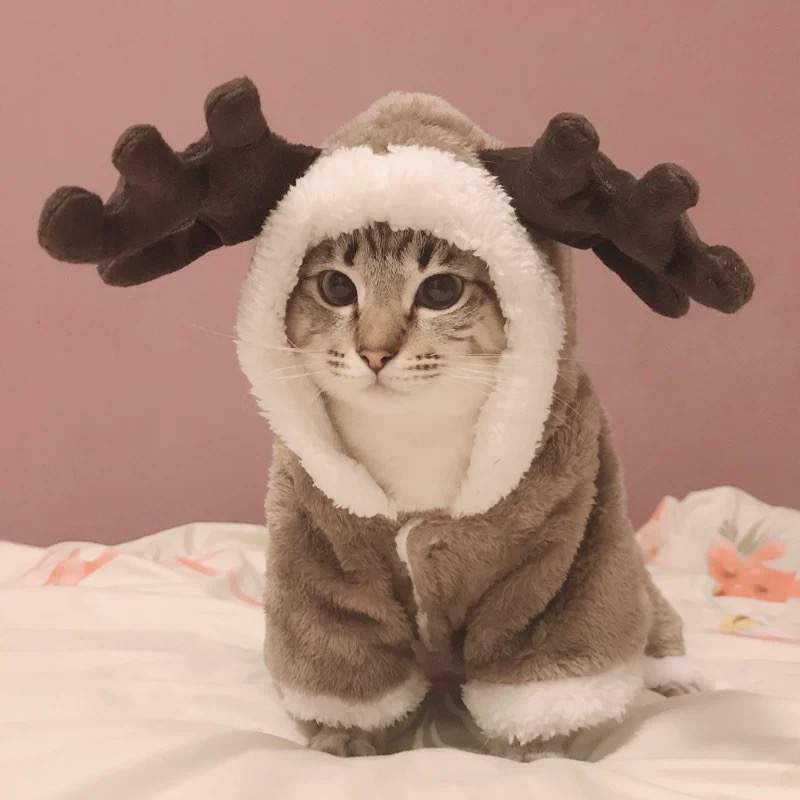 Winter Cat Clothes Warm Fleece Pet Costume For Small Cats Kitten Jumpsuits Clothing Cat Coat Jacket Pets Dog cat clothes funny alx