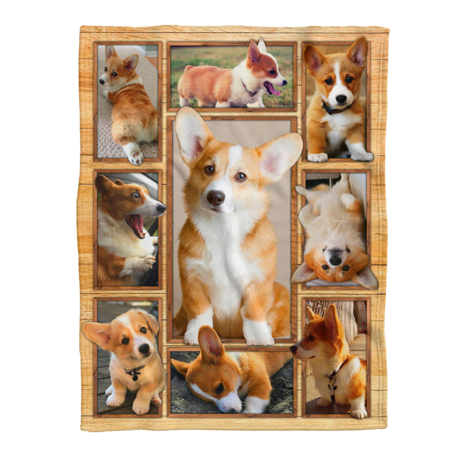 Corgi Blanket, Corgi 3D Dog Blanket Gift For Corgi Dog Lovers