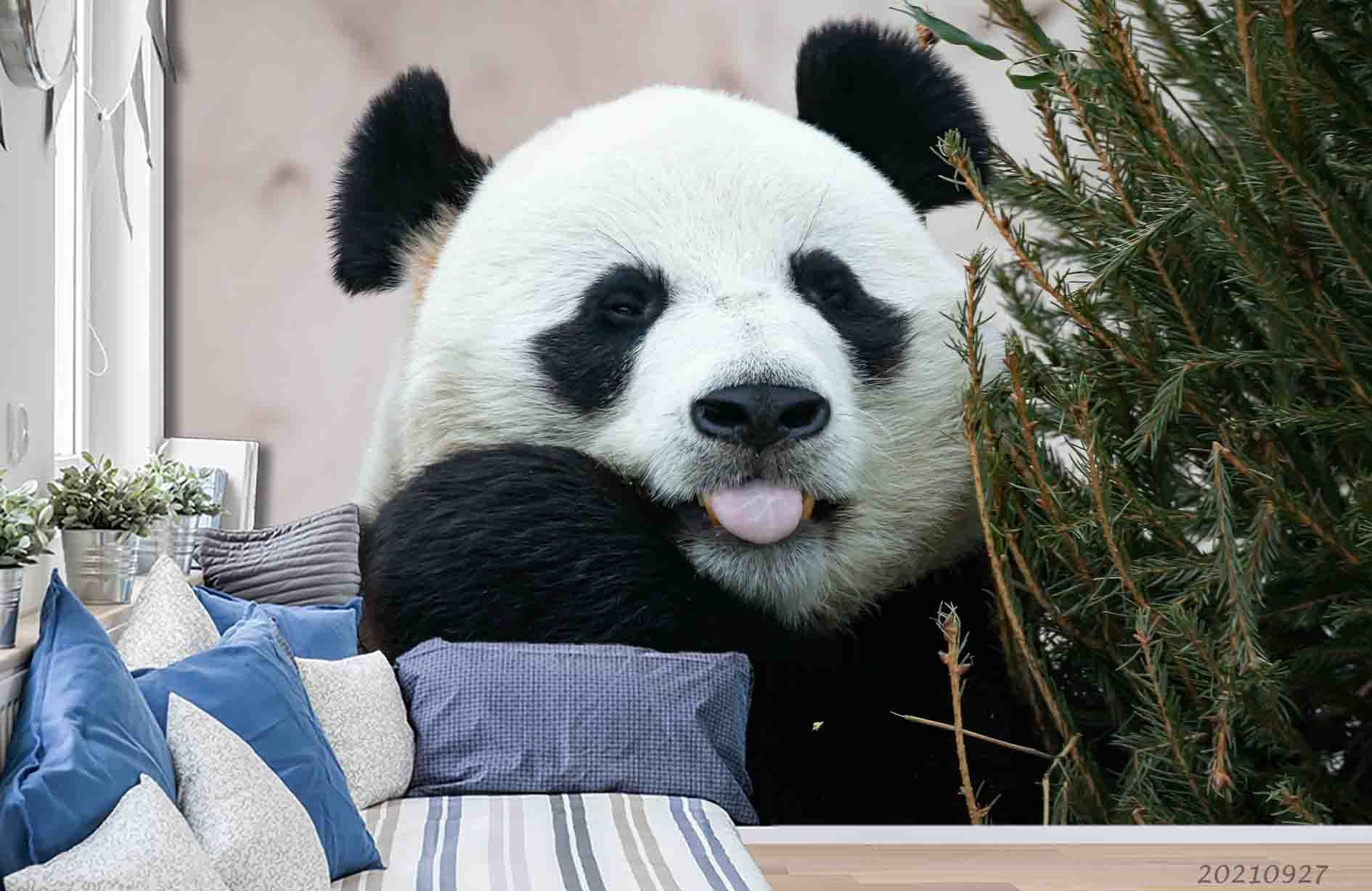 3D Wild Animal Panda Wall Mural Wallpaper Lqh 203