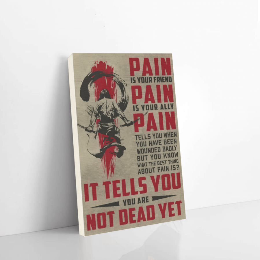 samurai canvas pain is your friend pain is your ally