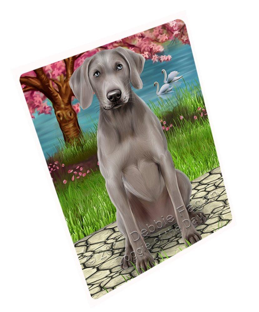 Weimaraner Dog Blanket Blnkt52392