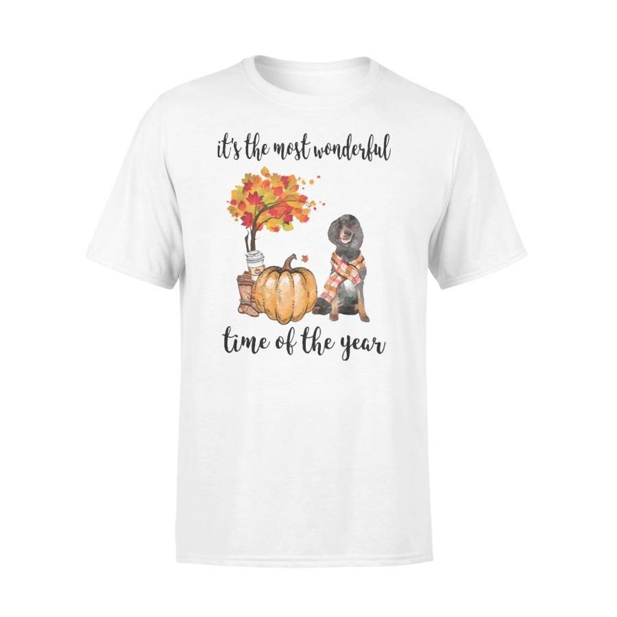 Fall Pumpkin It’s The Most Wonderful Time Of The Year Gordon Setter T-Shirt