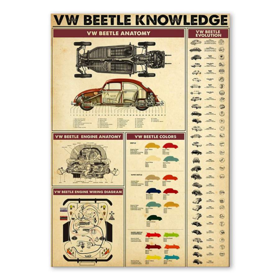 VW Beetle Knowledge Gift For  Volkswagen Beetle Lovers Poster