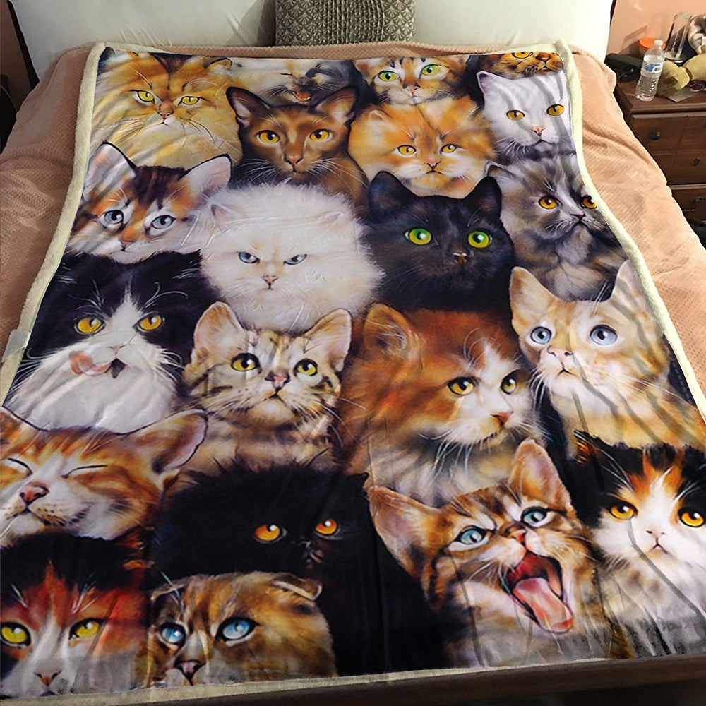 Cat Blanket – Cat Throw Blanket – Cat Fleece Blanket – Blanket With Cats – Kittens – Furlidays