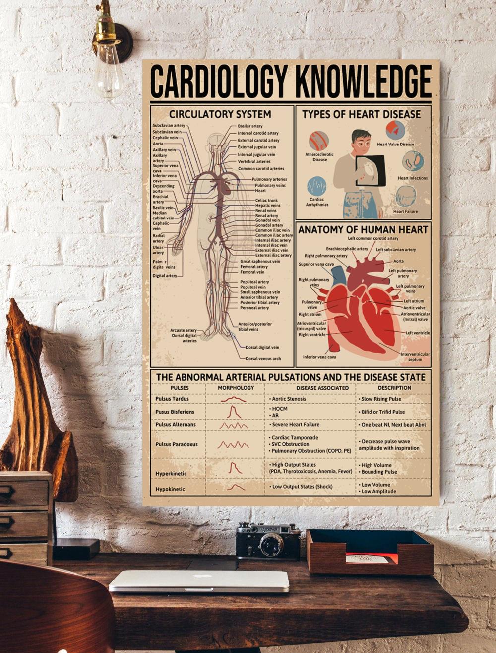 Cardiology Knowledge Vertical Poster