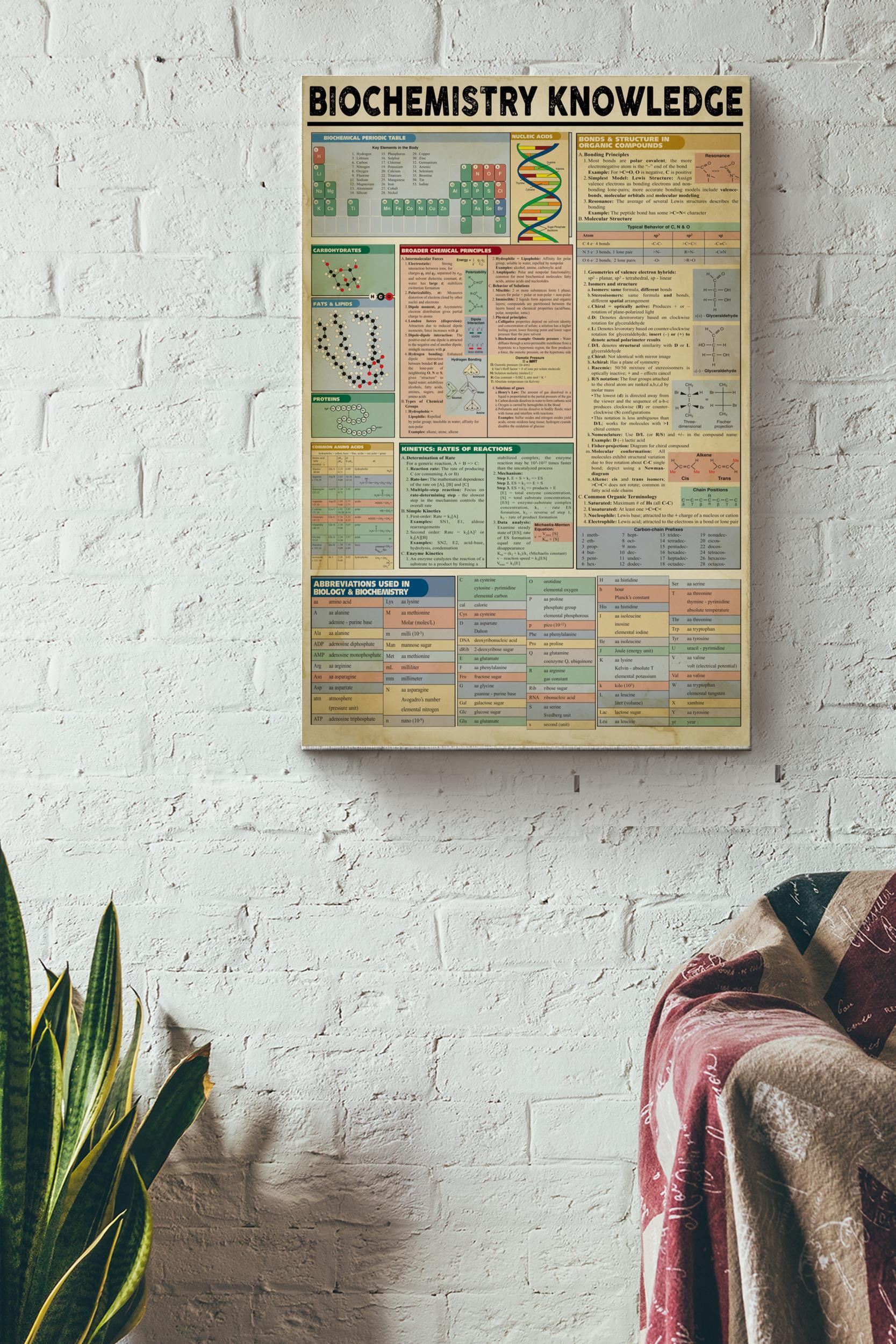 Biochemistry Knowledge Basic Information Poster – Chemical Wall Art – Gift For Scientist Biochemical Chemist Wrapped Canvas