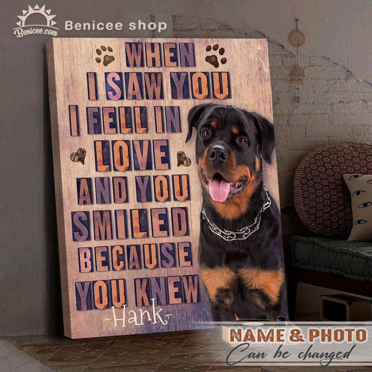 Benicee Personalized Pet Gift Wrapped Wall Art Canvas Because You Knew Top 3 Home Decor