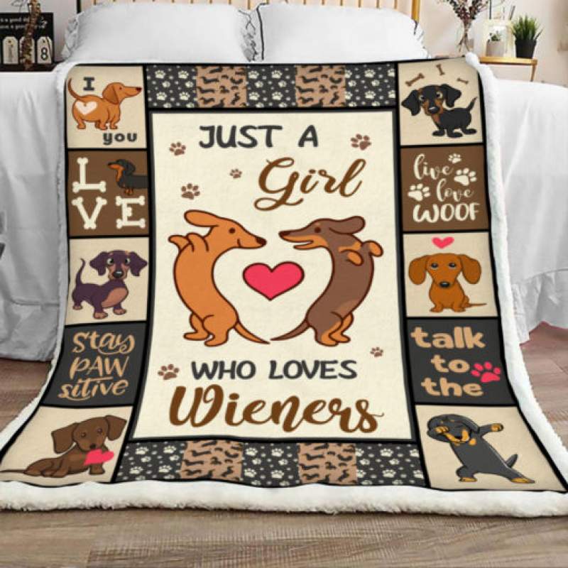 Dachshund Dog Sherpa Blanket JR2102 78O58