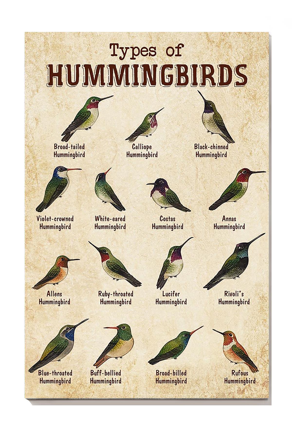 Types Of Hummingbirds Animal Knowledge For Homeschool Nusery Kids Bedroom Decor Canvas