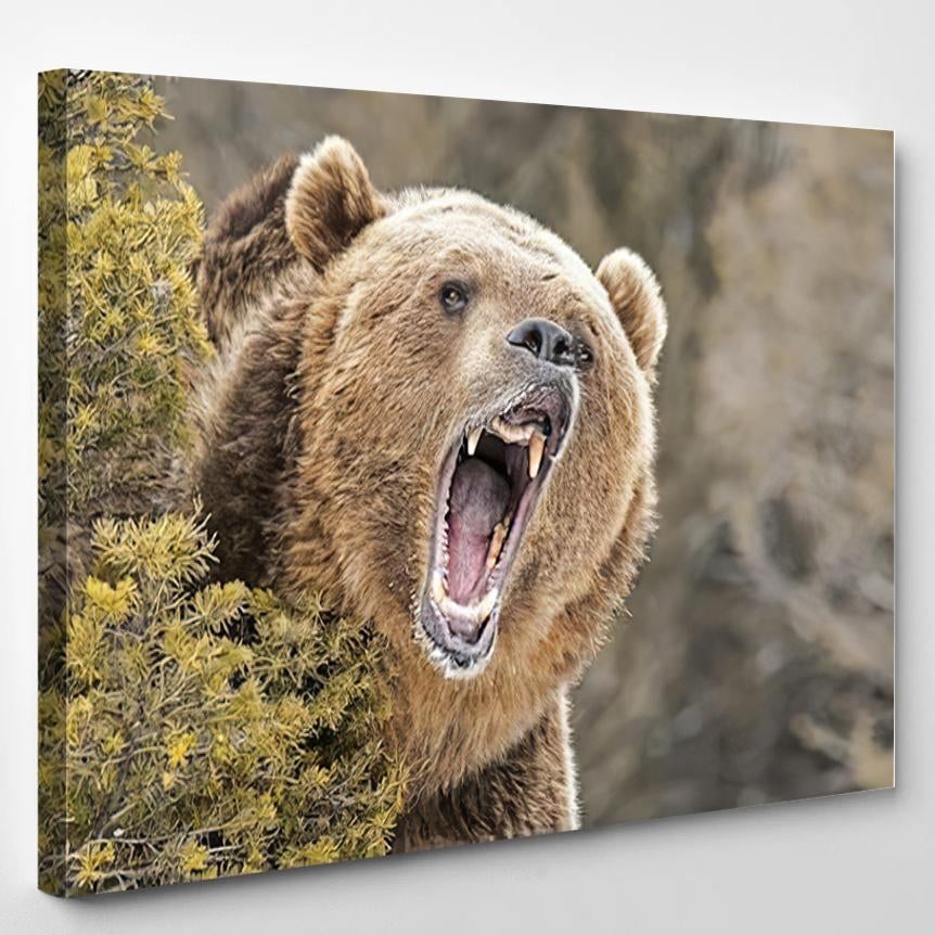 Roaring Grizzly Bear Behind Bush – Bear Animals Canvas Print