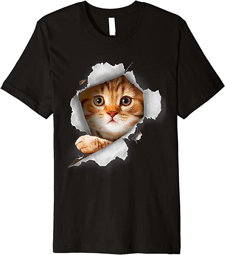 Orange Cat, Cat Torn Cloth, Kitten Premium T-Shirt