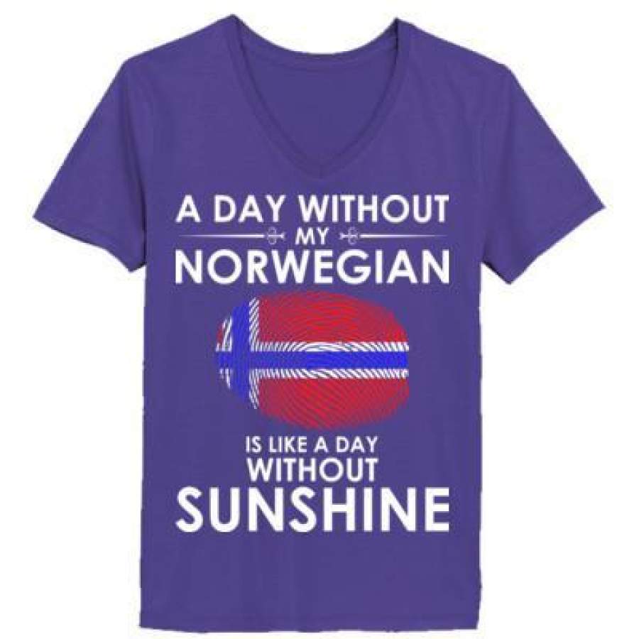 AGR A Day Without My Norwegian Is Like A Day Without Sunshine – Ladies’ V-Neck T-Shirt